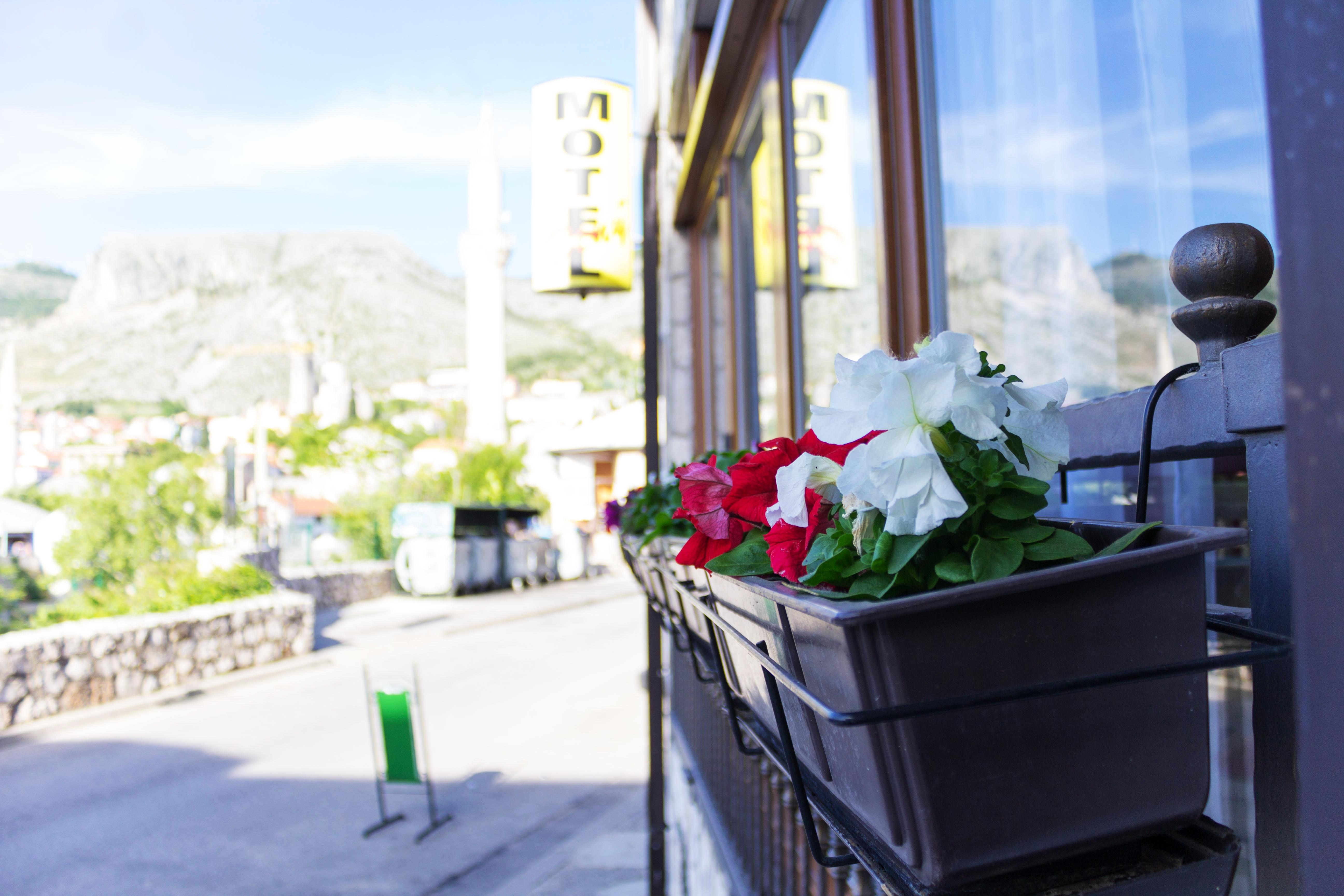 Villa Deny Mostar - With Free Parking Luaran gambar